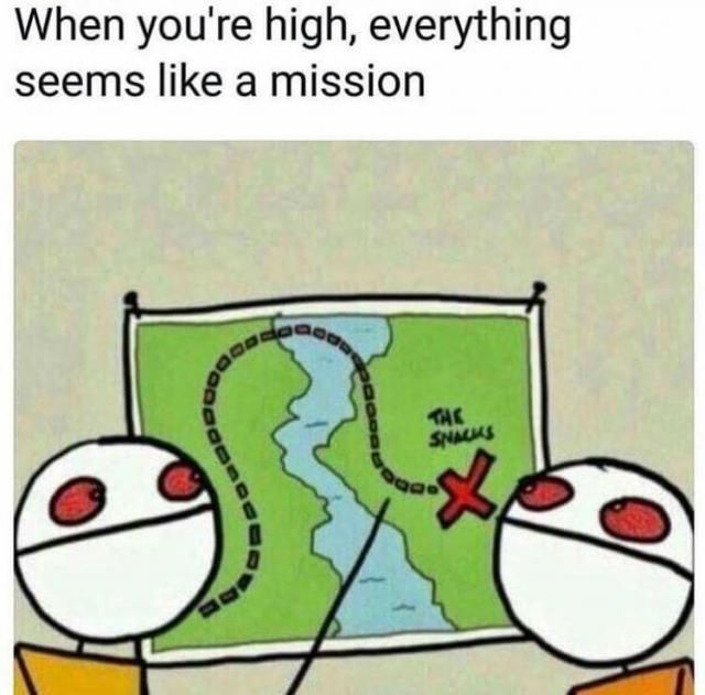 gaoos gaoos