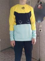 color block cat print sweatshirt