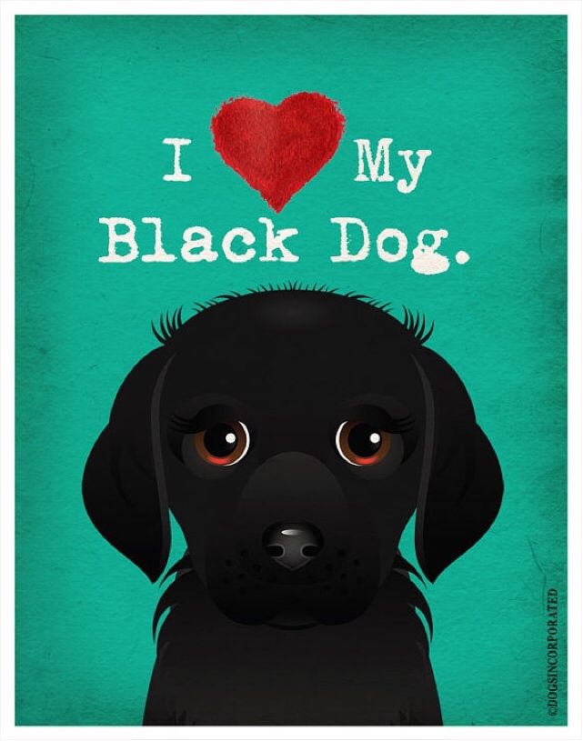 Love is dogs. три собаки пинтерест. любовь. собака для детей. Chat for dog lovers.