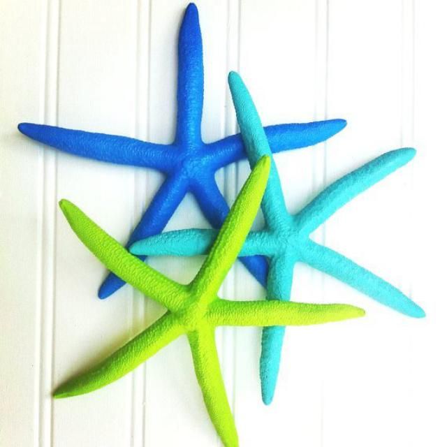 2019 Best Hanging Starfish Wall Decor Images And Outfits Z Me Zaful